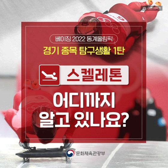 베이징 2022 동계올림픽 경기 종목 탐구생활 - ①스켈레톤