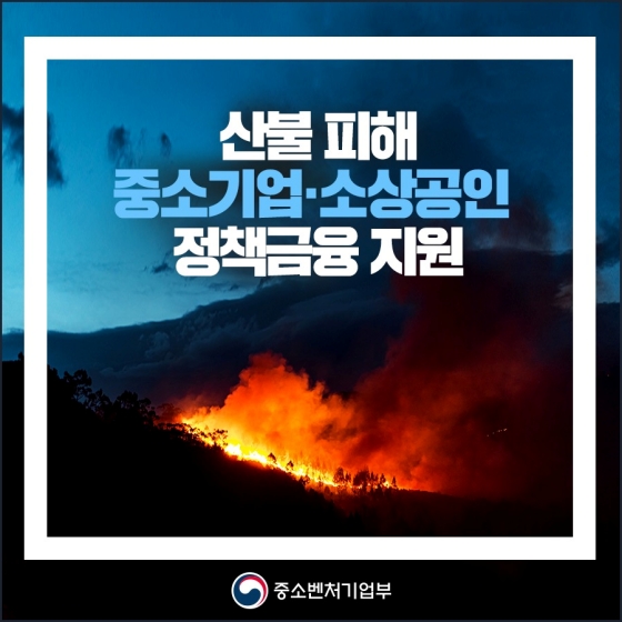 산불 피해 중소기업·소상공인 정책금융 지원 계획 마련