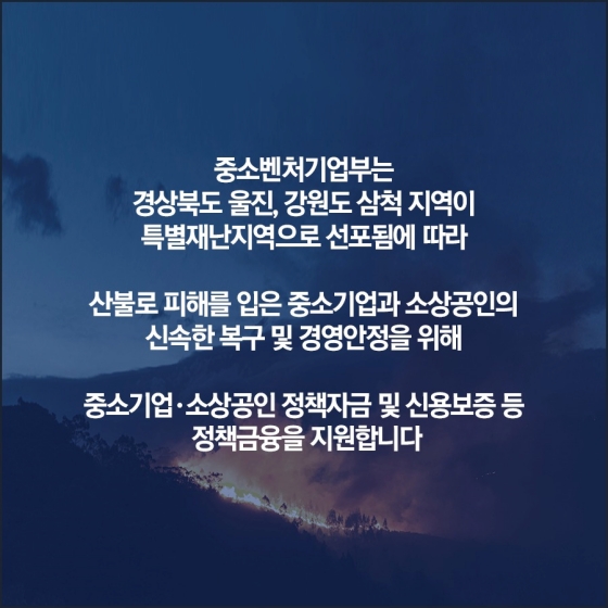 산불 피해 중소기업·소상공인 정책금융 지원 계획 마련