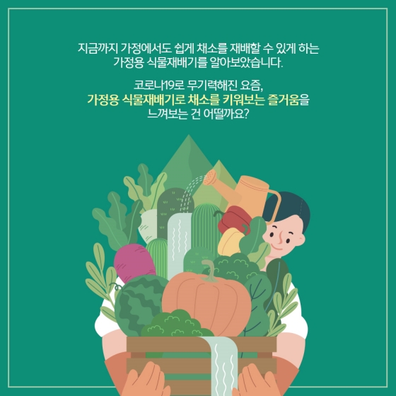 가정용 식물재배기로 자급자족!