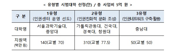 유형별 시범대학 선정(안).