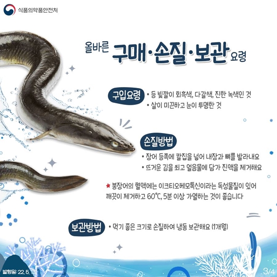 사시사철 인기만점인 장어의 안전한 구매와 손질법, 조리법까지 알려드려요~