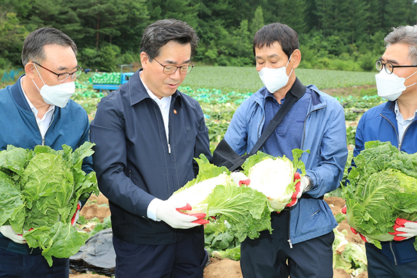 정황근 농림축산식품부 장관이 13일 강원 평창군 진부면 호명리 준고랭지 배추 재배단지를 방문해 배추 생육상태를 확인하고 있다.(사진=농림축산식품부)