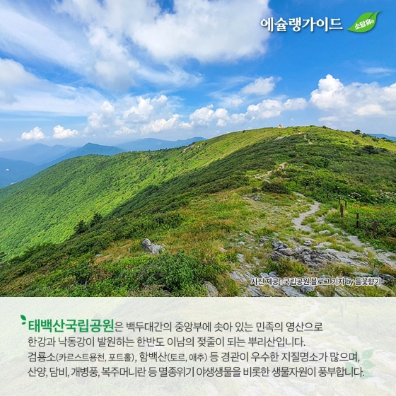 “올 여름방학은 자연과 함께”… ⑧ 태백산 두문동재