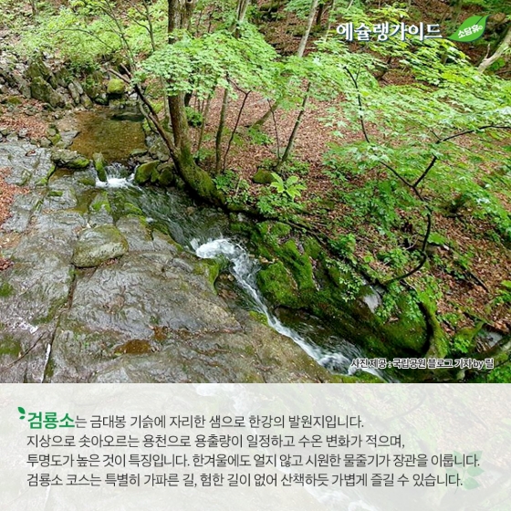 “올 여름방학은 자연과 함께”… ⑧ 태백산 두문동재