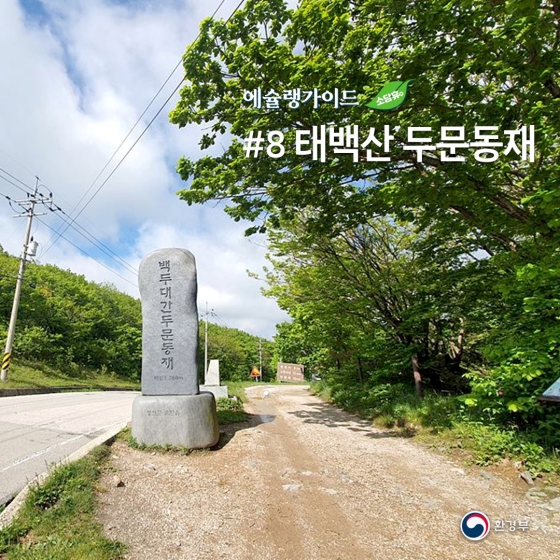 “올 여름방학은 자연과 함께”… ⑧ 태백산 두문동재