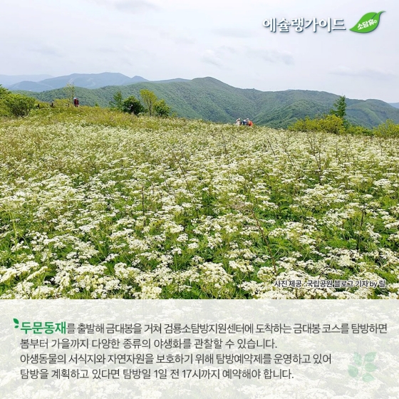 “올 여름방학은 자연과 함께”… ⑧ 태백산 두문동재