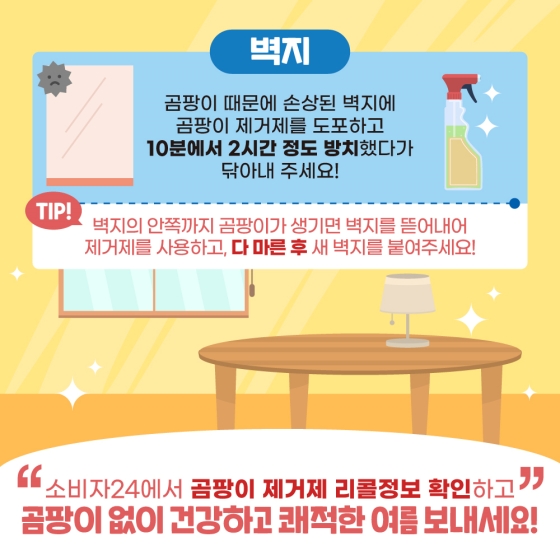 곰팡이와의 전쟁을 선포한다! (곰팡이 제거 꿀 팁)