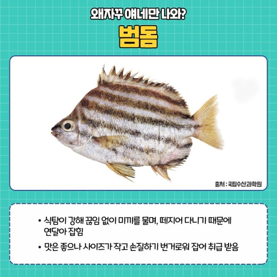 낚시꾼들이 싫어하는 비호감 물고기 5