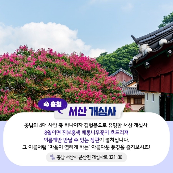 이번 주말, 여기 어때?