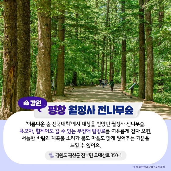 이번 주말, 여기 어때?