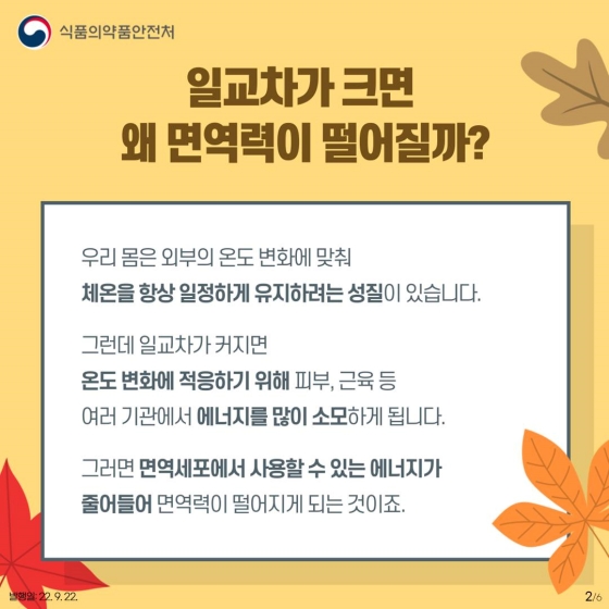 가을철 환절기, 감기와 독감에 주의하세요!