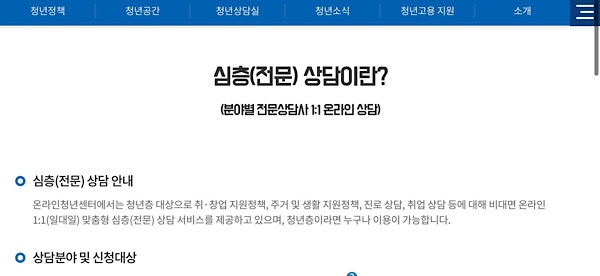 온라인 청년센터 심층 상담