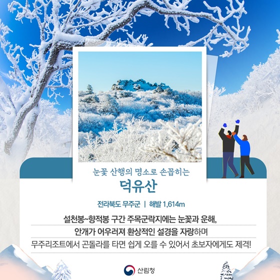 눈꽃이 찾아왔어요! 겨울 에만 볼 수 있는 눈꽃가득 설산