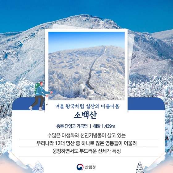 눈꽃이 찾아왔어요! 겨울 에만 볼 수 있는 눈꽃가득 설산