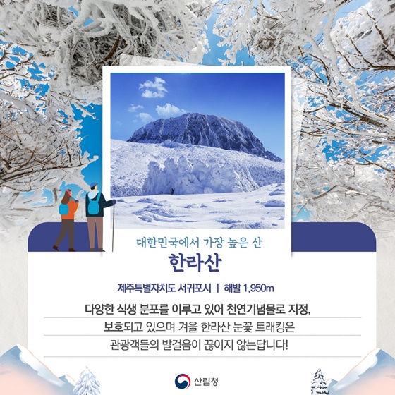 눈꽃이 찾아왔어요! 겨울 에만 볼 수 있는 눈꽃가득 설산