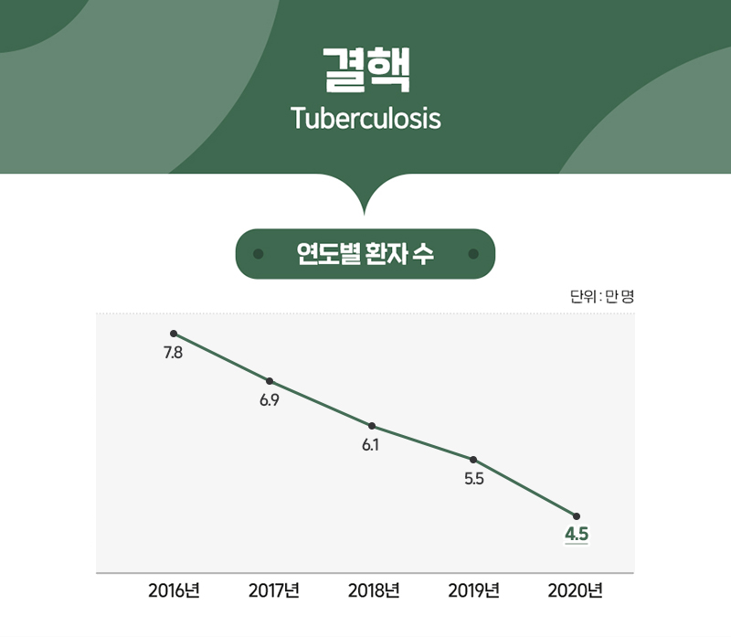 결핵 통계 그래프