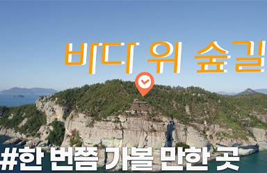 [4K] 금당도 세포전망대 숲길 소개