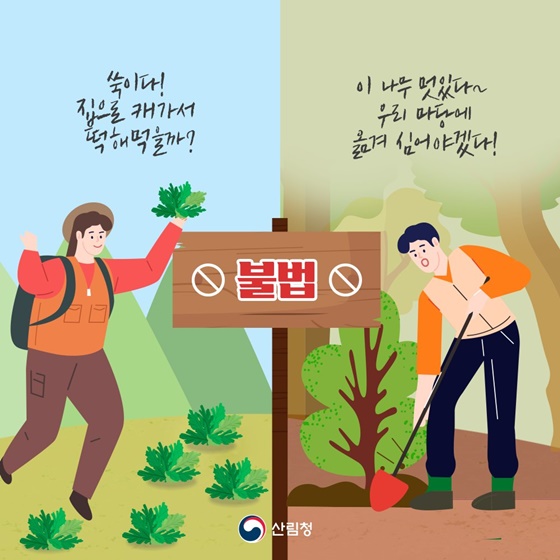 산림 내 불법 임산물 채취 이제 그만!