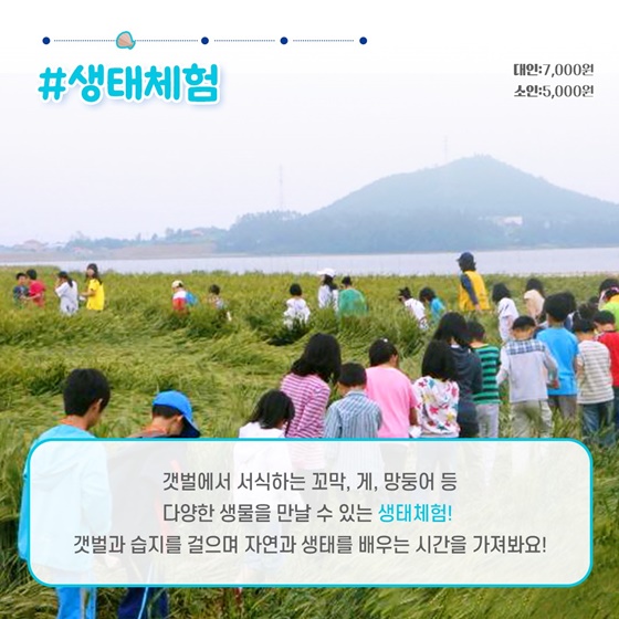 4월에 가기 좋은 어촌 안심 여행지 - ① 전라남도 해남군 오산마을