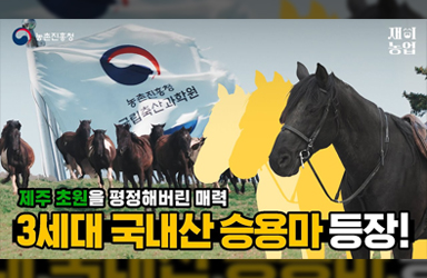 중요한 건 꺾이지 않는 승용마? 이게 바로 3세대 국내산 승용마 클라쓰?