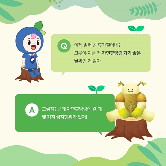 유퀴즈 온더 새령! 자연휴양림에서 하면 안 되는 금지 행위는?