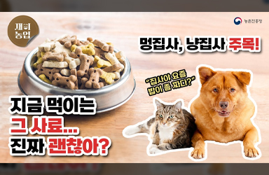 내게 너무 소중한 강아지·고양이…녀석에게 소중한 건 맛있고 건강한 사료 펫푸드입니다!