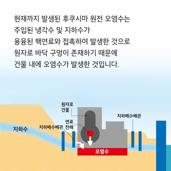 후쿠시마 제1원전 원자로 바닥 구멍, 사실인가요?