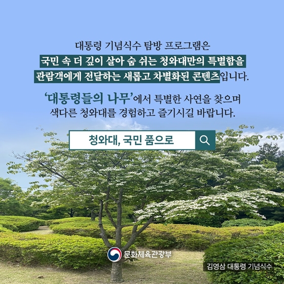 “사연을 품은 ‘대통령의 나무들’을 만나다!”