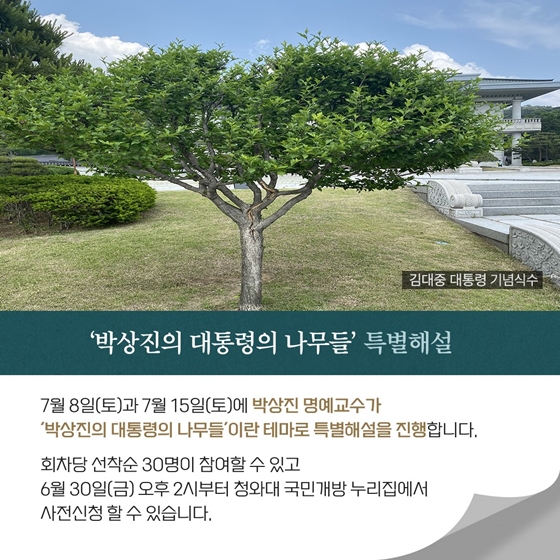 “사연을 품은 ‘대통령의 나무들’을 만나다!”