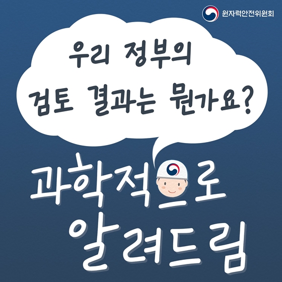 우리 정부의 검토 결과는 뭔가요?