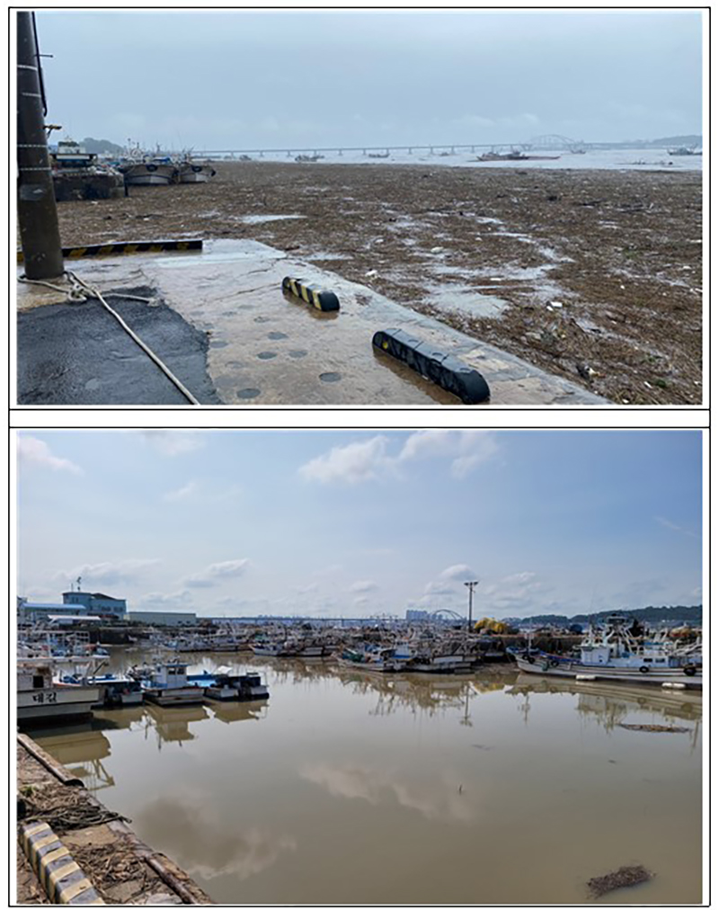 장항항 해양쓰레기 수거 전(위)·아래 비교 사진
