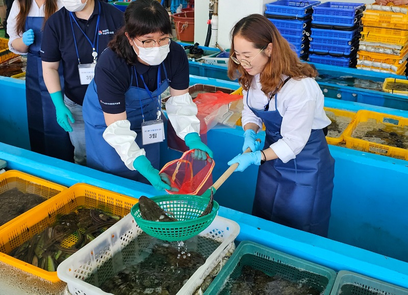 경남도가 수산물 방사능 공개 검사를 진행할 25일 경남 거제시 거제수협 성포위판장에서 한 참관인이 이날 갓 잡힌 양태를 수조에서 건져 올리고 있다.(사진=저작권자(c) 연합뉴스, 무단 전재-재배포 금지)