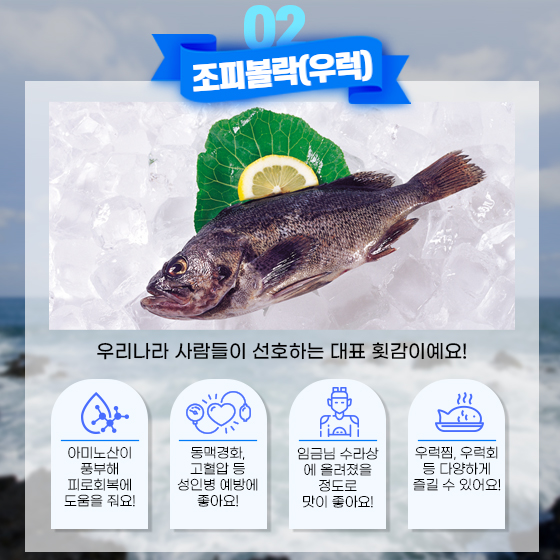 올 여름, 보양 수산물로 건강 관리 하세요!