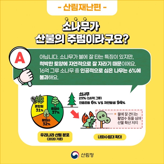 숲과 산림에 대한 오해와 진실 ③ 산림재난편