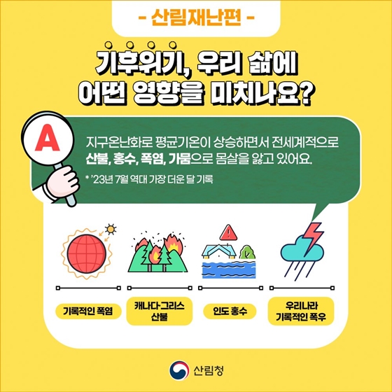 숲과 산림에 대한 오해와 진실 ③ 산림재난편