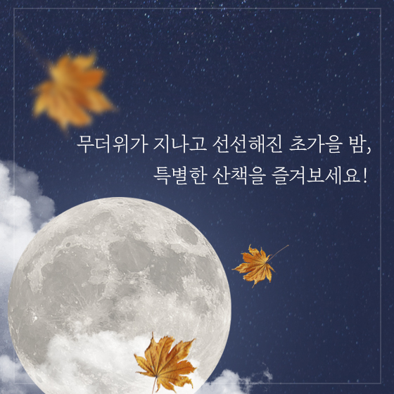 초가을 밤의 산책, 같이 걸을래?