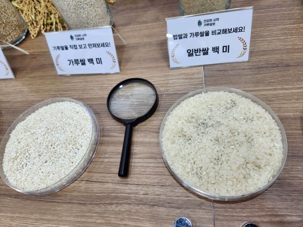가루쌀과 일반쌀을 비교해 보니 육안으로도 차이가 있다. 가루쌀은 작고 동글동글하게 생겼다.