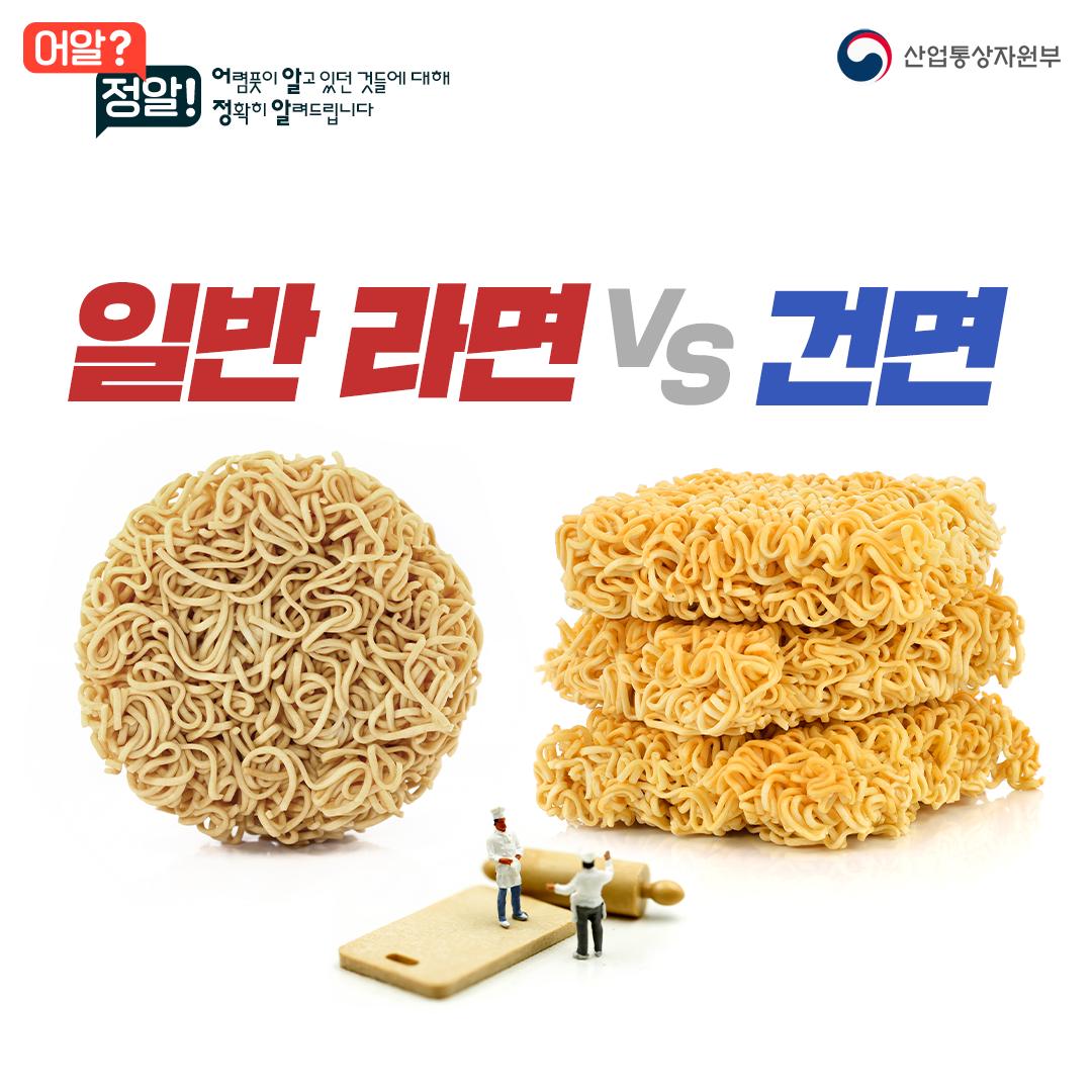 [어알정알] 일반 라면 VS 건면