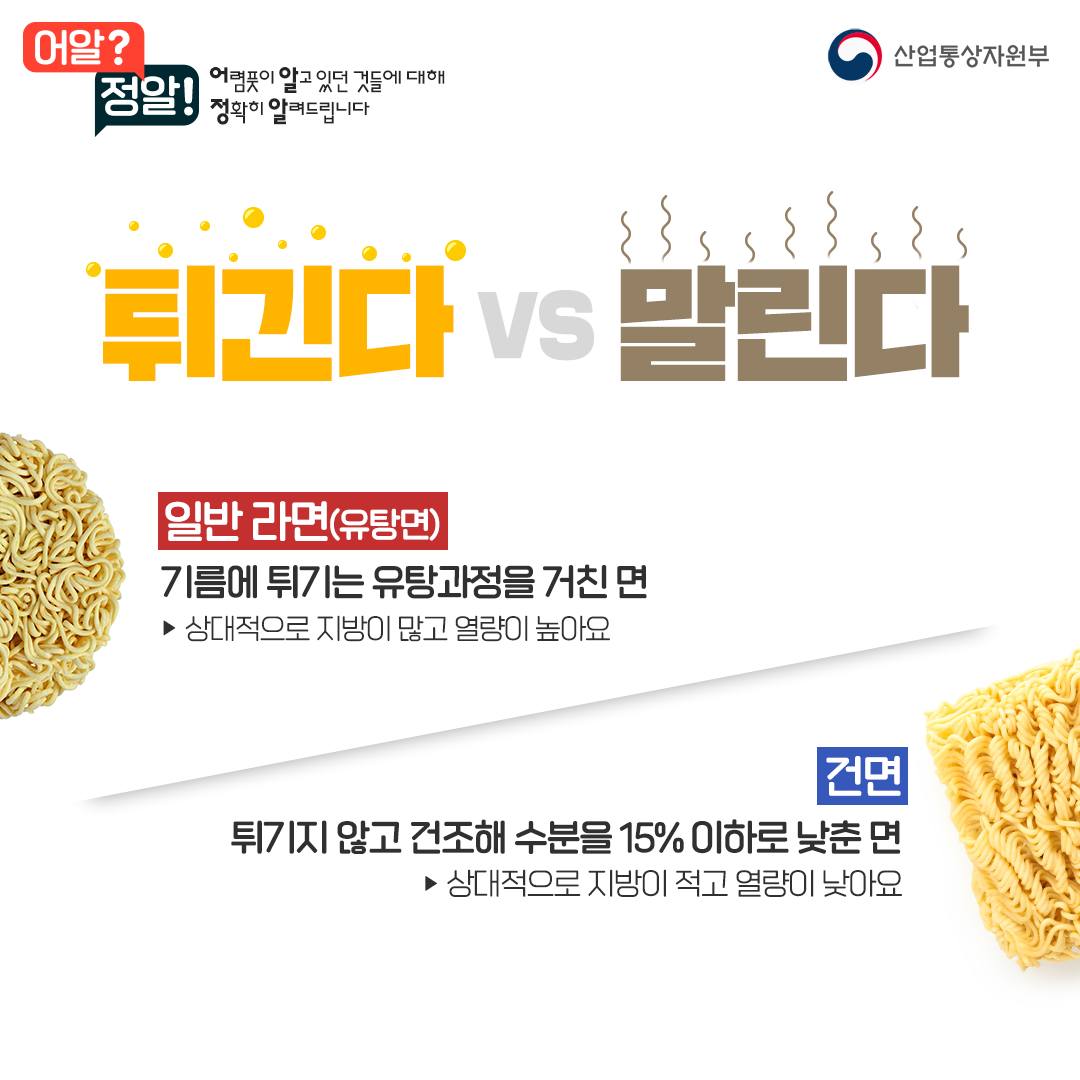 [어알정알] 일반 라면 VS 건면