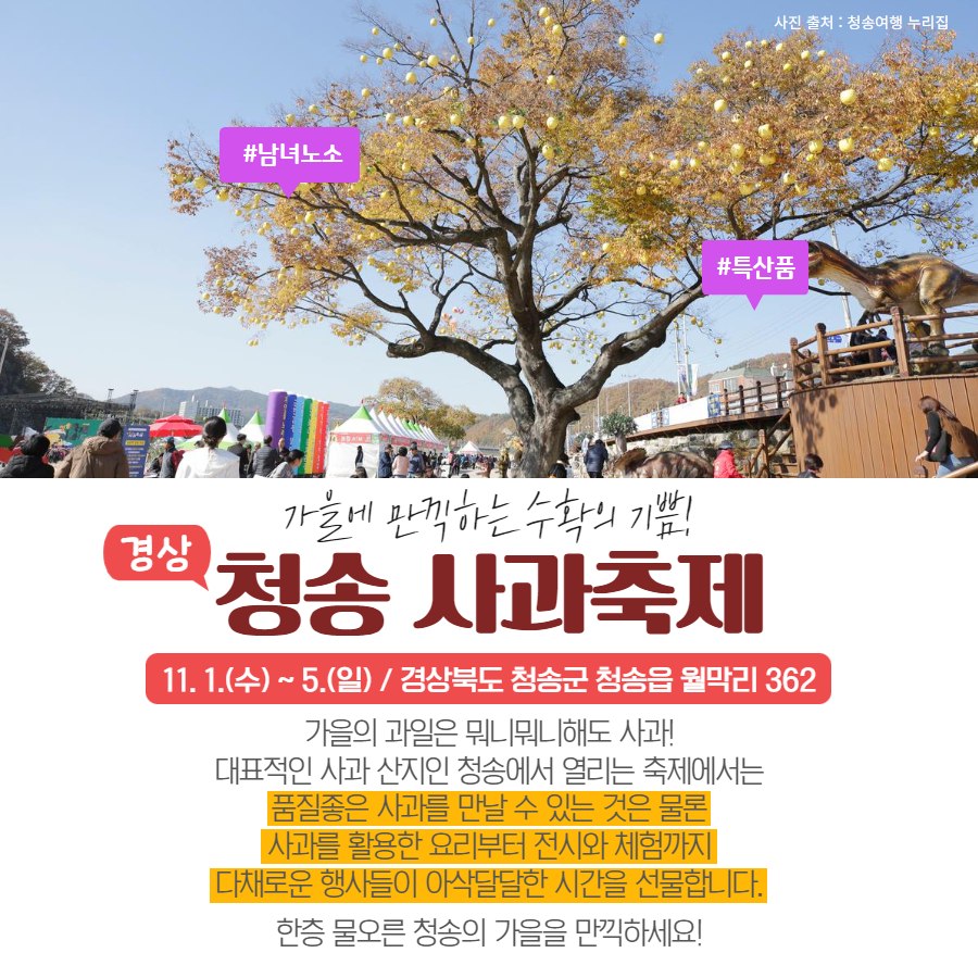 ‘K-관광, 여기 어때’…11월 추천 지역축제 5곳