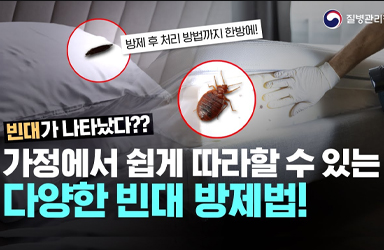 가정에서 쉽게 따라 할 수 있는 다양한 빈대 방제법!