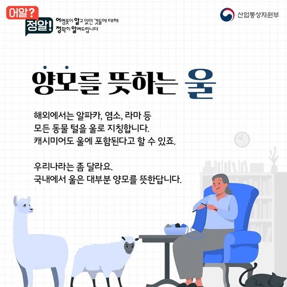 캐시미어vs울,  겨울옷 사기 전 알고 가세요~