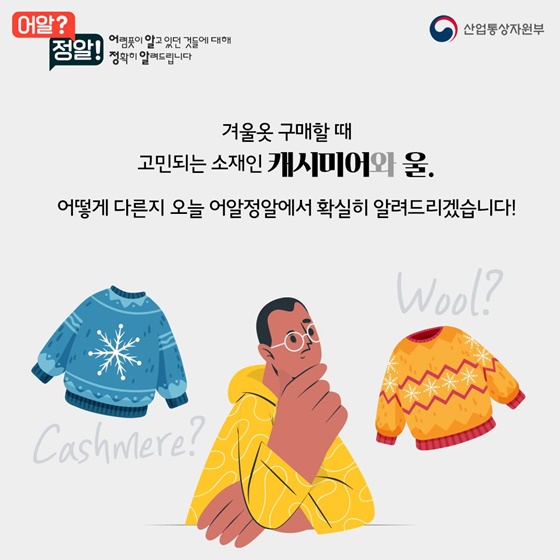 캐시미어vs울,  겨울옷 사기 전 알고 가세요~