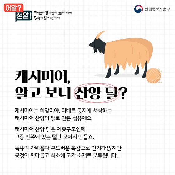 캐시미어vs울,  겨울옷 사기 전 알고 가세요~