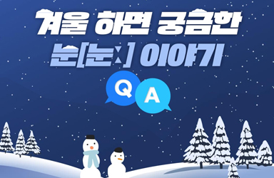 겨울 하면 궁금한 눈 이야기Q&A