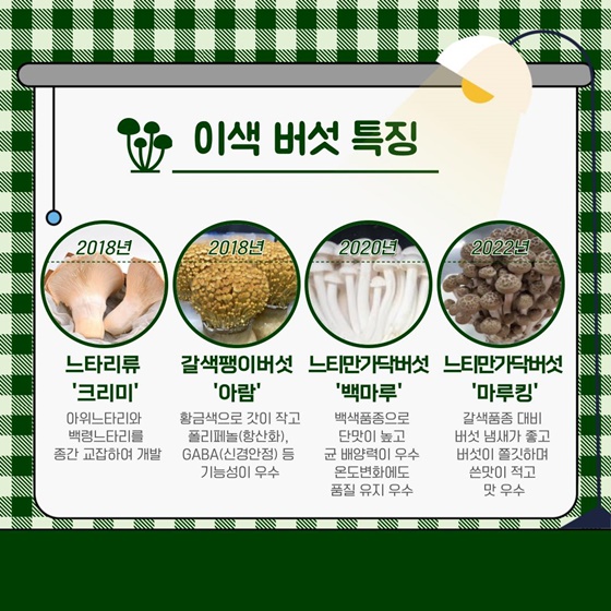 K-버섯을 활용한 건강한 채식요리