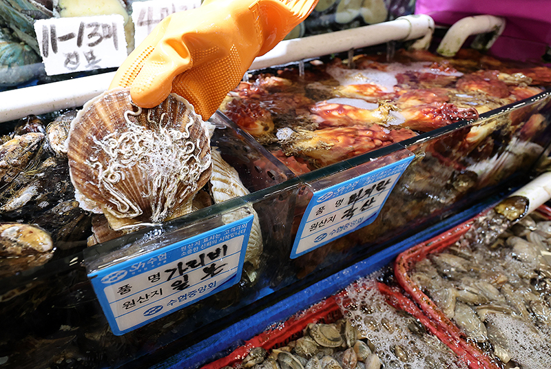 수산시장에서 상인이 일본산 가리비를 꺼내는 모습. (ⓒ뉴스1, 무단 전재-재배포 금지)