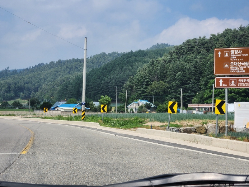운전자는 도로를 오가면서 차량, 사람 뿐만 아니라 노면에 설치된 도로교통표지판에도 주의를 기울여야 한다.