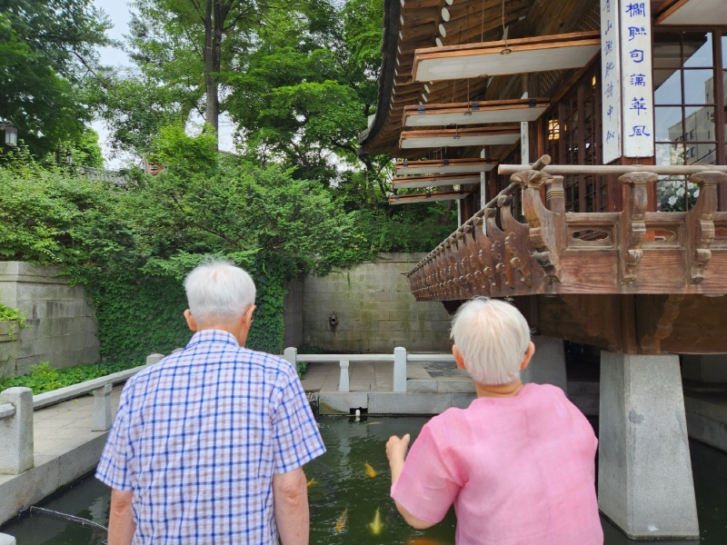 부모님이 한국의집 중정에 있는 연못에 노니는 잉어를 바라보고 있다.
